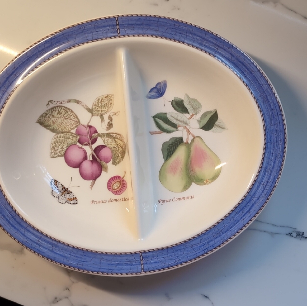 Wedgwood Blue and Cream Divided Plate with Botanical Design